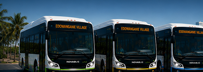 Flotte de trois navettes électriques Edowanganie Village, Nova Bus LFSe+
